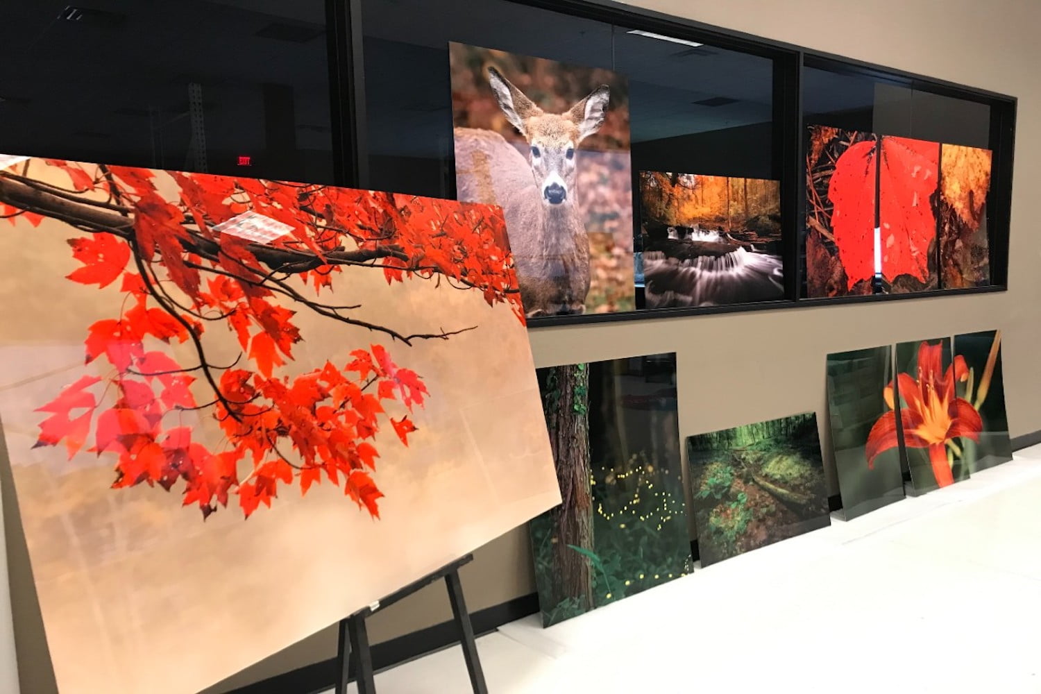 Exploring the Beauty of Sublimation on Aluminum