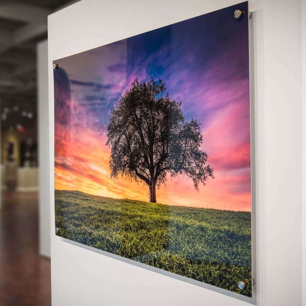 Vibrant sunset tree acrylic photo print with metal stand-offs using advanced uv print on acrylic.